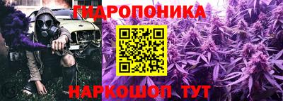 стаф Нальчик