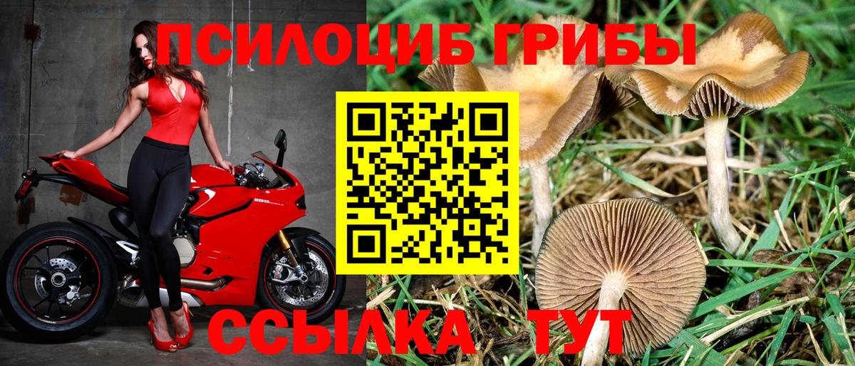 Уварово  Псилоцибиновые грибы Psilocybe  Галлюциногенные грибы GOLDEN TEACHER  Вход с VPN 