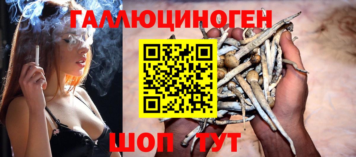 Псилоцибиновые грибы Psilocybe Уварово